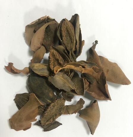 厚朴 MAGNOLIAE OFFICINALIS CORTEX