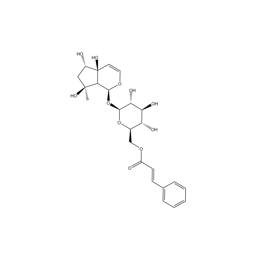 6'-O-肉桂酰基哈巴苷|1245572-24-0
