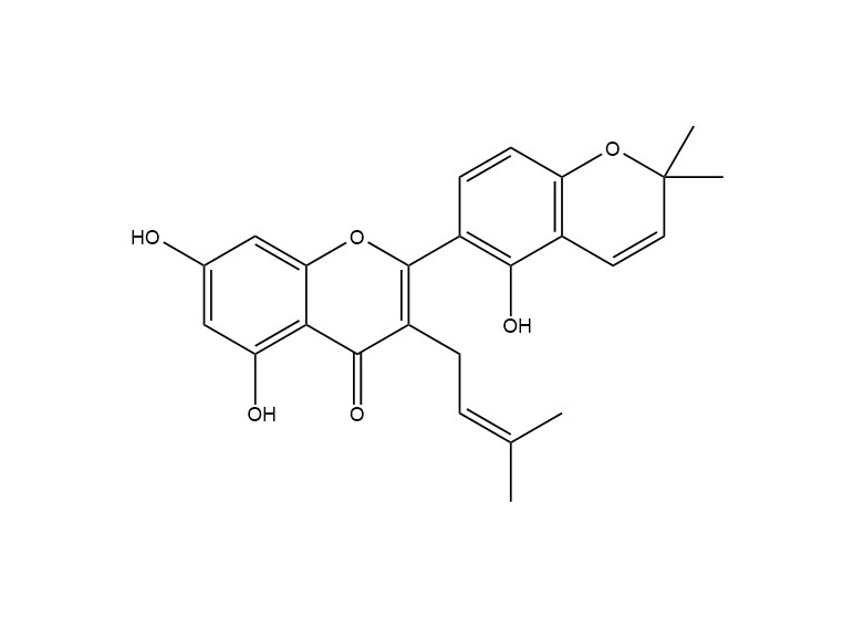 桑皮酮B|62949-78-4